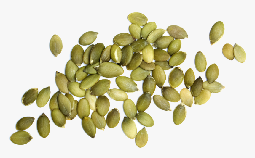 Pumpkin Seeds Png - Transparent Background Pumpkin Seeds Png, Png Download