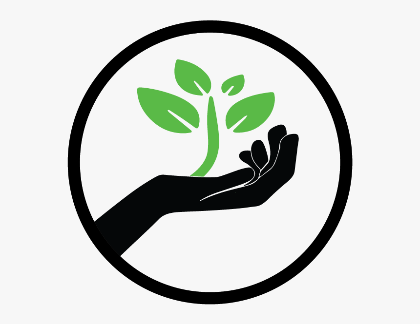 Planting Seeds Png - Plant Logo, Transparent Png