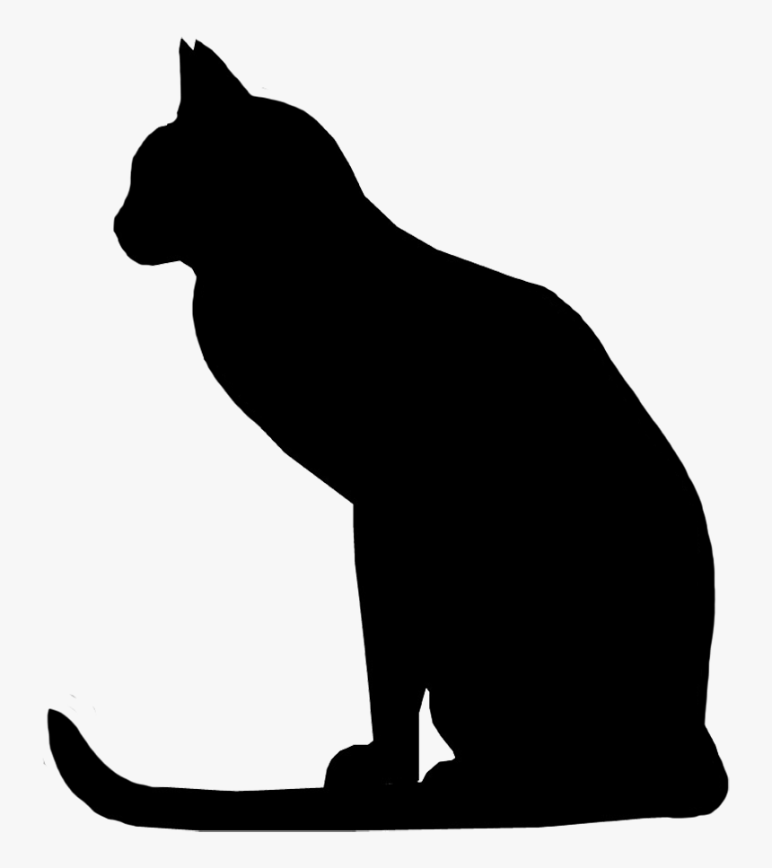 Attentive Cat Silhouette, Cat With Long Tail Silhouette - Raccoon, HD Png Download