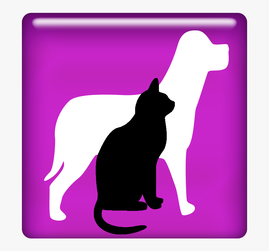 Lost & Found - Cat, HD Png Download