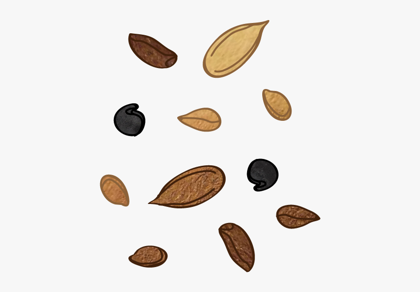 Almond, HD Png Download