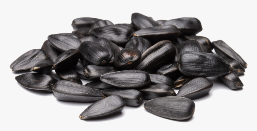 Sunflower Seed Png - Sun Flower Seeds Png, Transparent Png