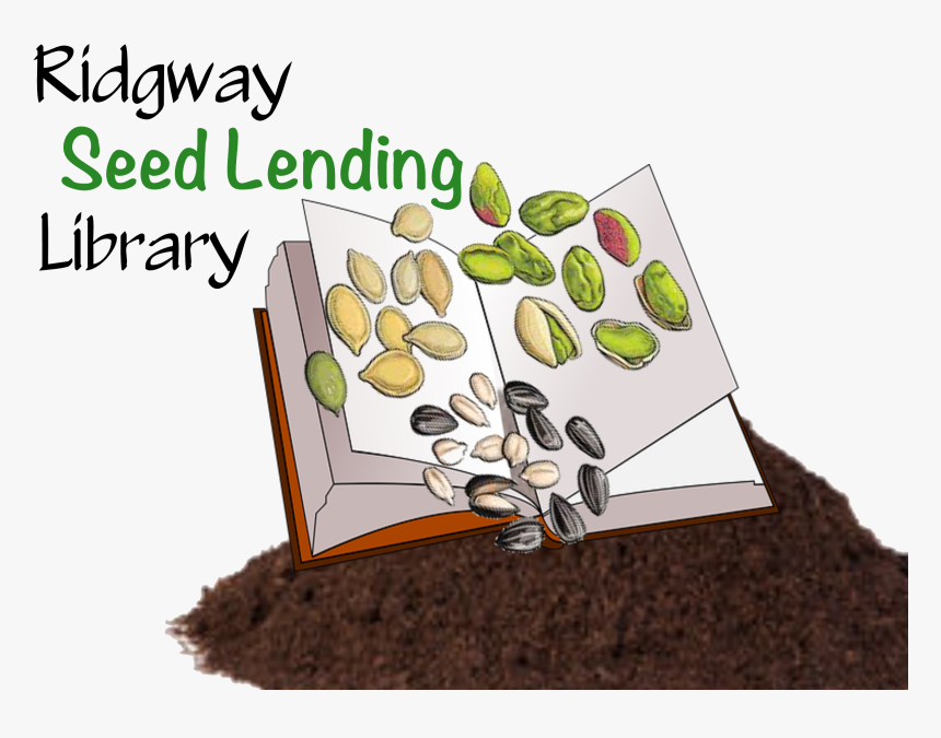 Pumpkin Seed, HD Png Download