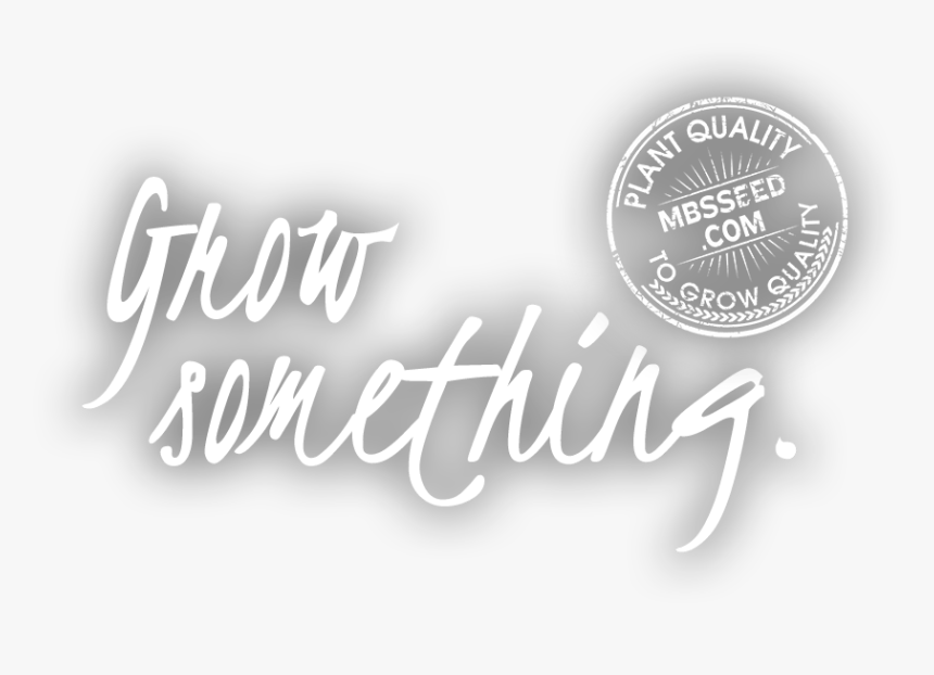 Calligraphy, HD Png Download