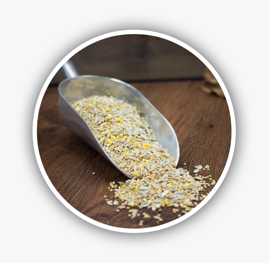 Sesame, HD Png Download