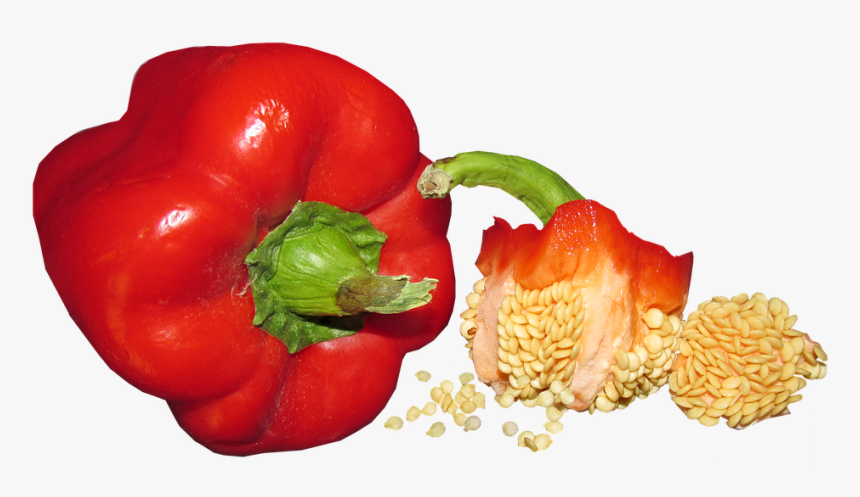 Vegetable, Capsicum, Seed, Food, Healthy, Cooking - Capsicum Seed, HD Png Download