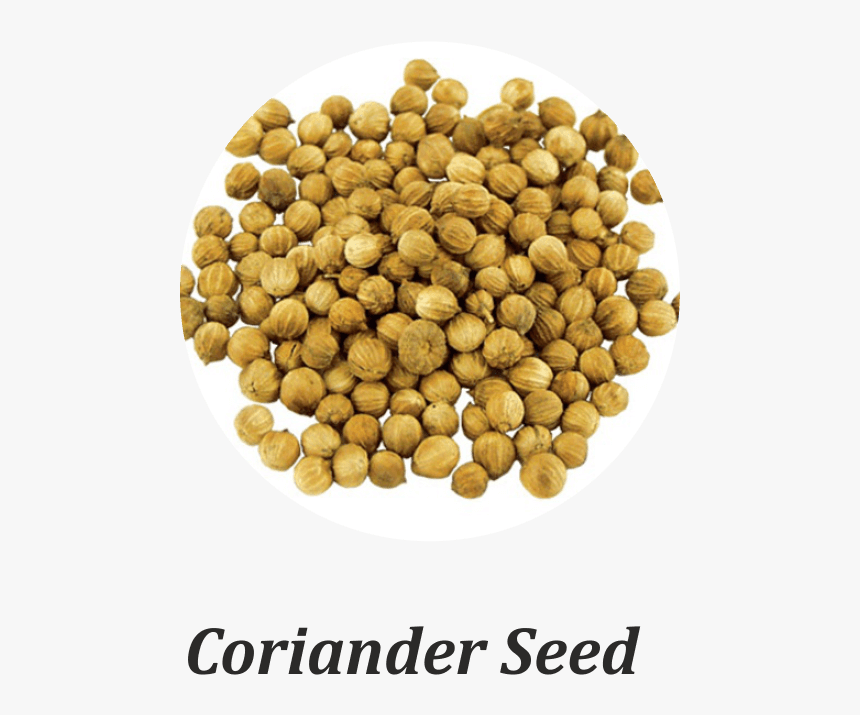 Pigeon Pea, HD Png Download