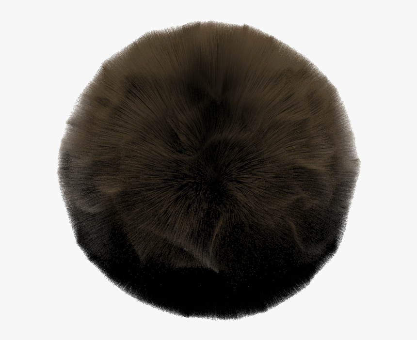 Fur Clothing, HD Png Download