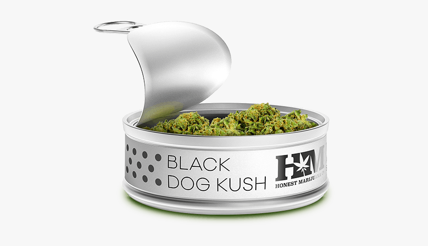 Organic Marijuana - Cannabis Products Png, Transparent Png