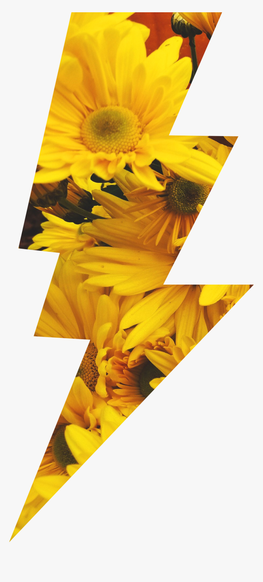 #sunflowers #lightningbolt #lightning #yellow #flowers - Lightning Bolt Flower, HD Png Download