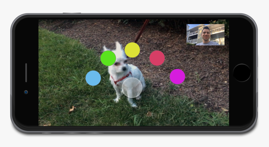 Dog Catches Something, HD Png Download