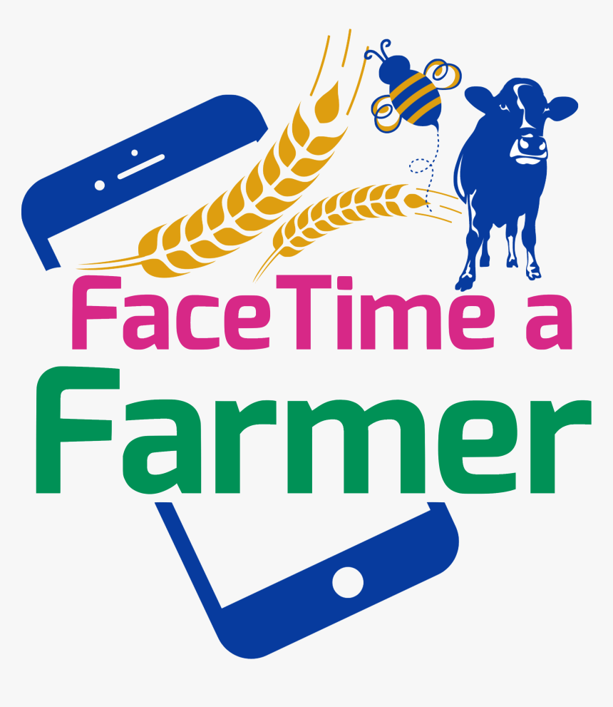 Graphic Design, HD Png Download