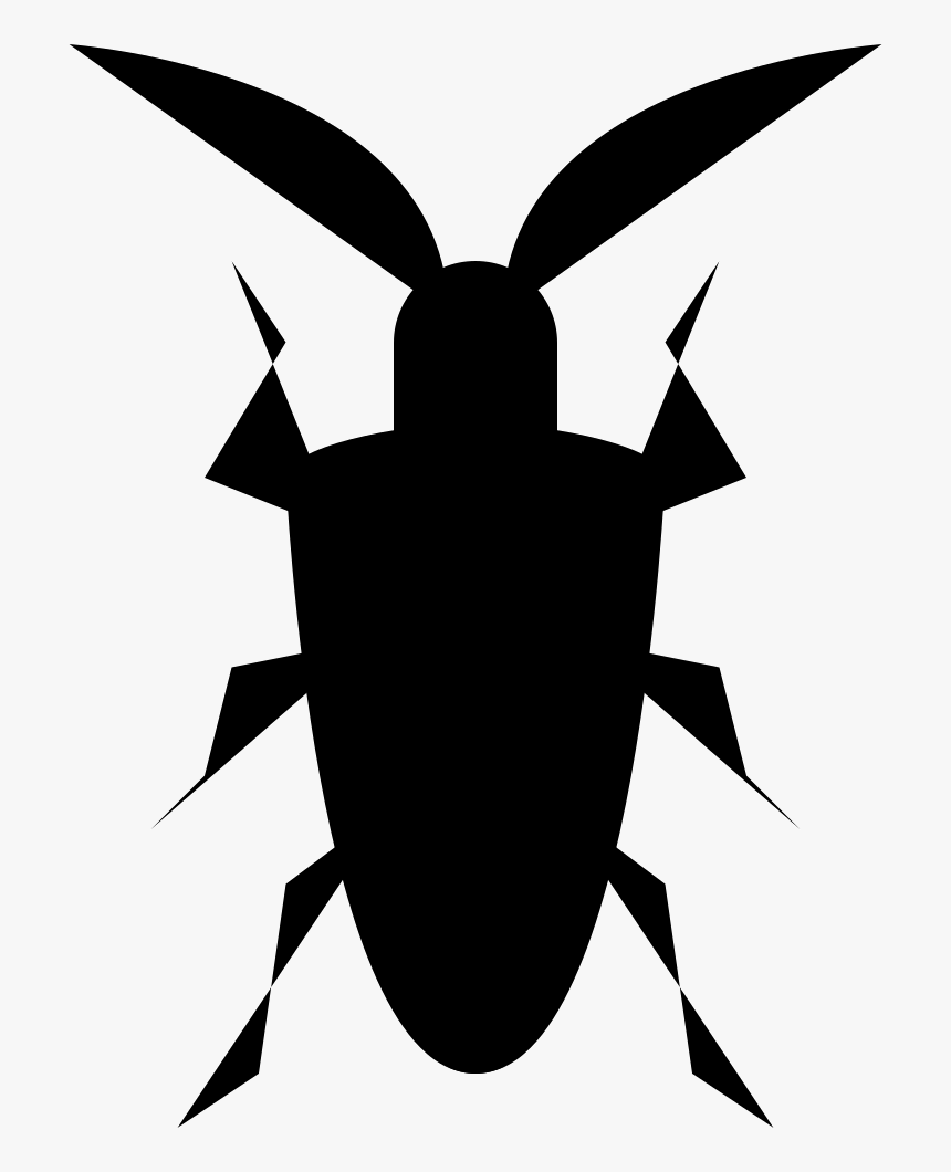 Ground Beetle, HD Png Download