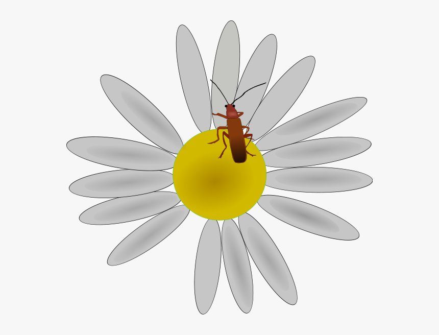 Bug On A Flower Png Clip Arts - Clipart Bug On A Flower, Transparent Png