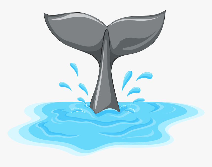 Whale Tail Png Clipart - Cola De Ballena Dibujo, Transparent Png