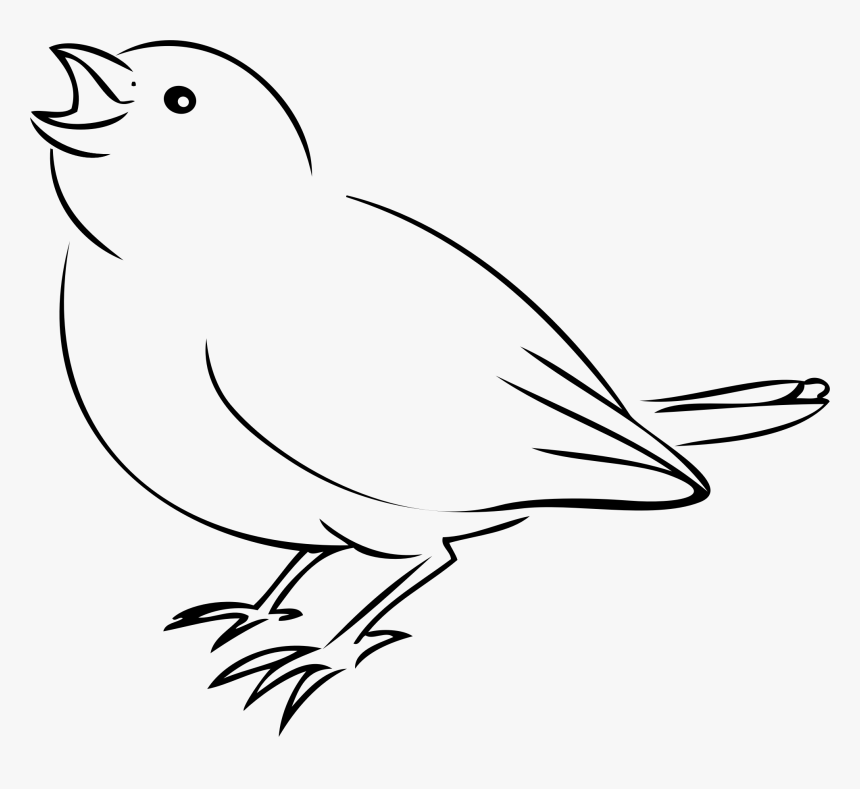 Sparrow Clip Arts - Dibujos Faciles De Aves, HD Png Download