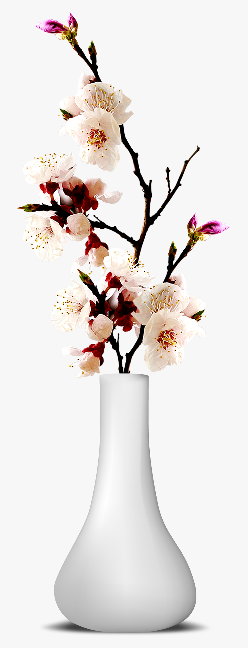 Flower Vase Png Transparent Image - Transparent Flower Vase Png, Png Download