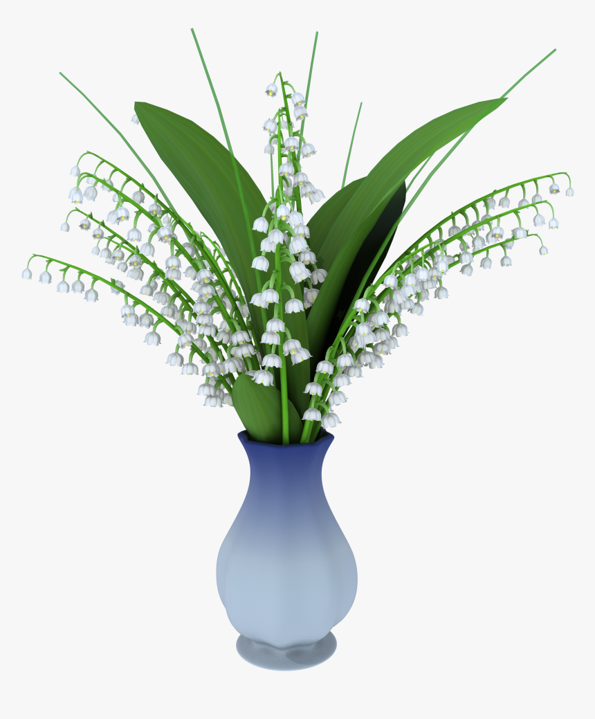 May Lily In Vase Png Clipart Picture - 3d Computer Graphics, Transparent Png