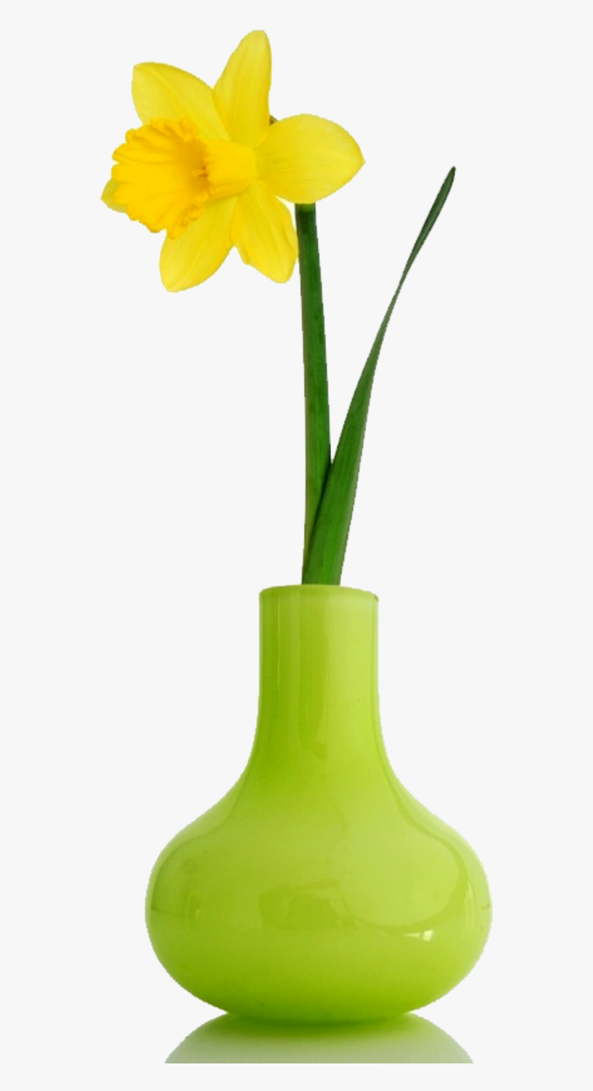 Thumb Image - Flowers In Vases, HD Png Download