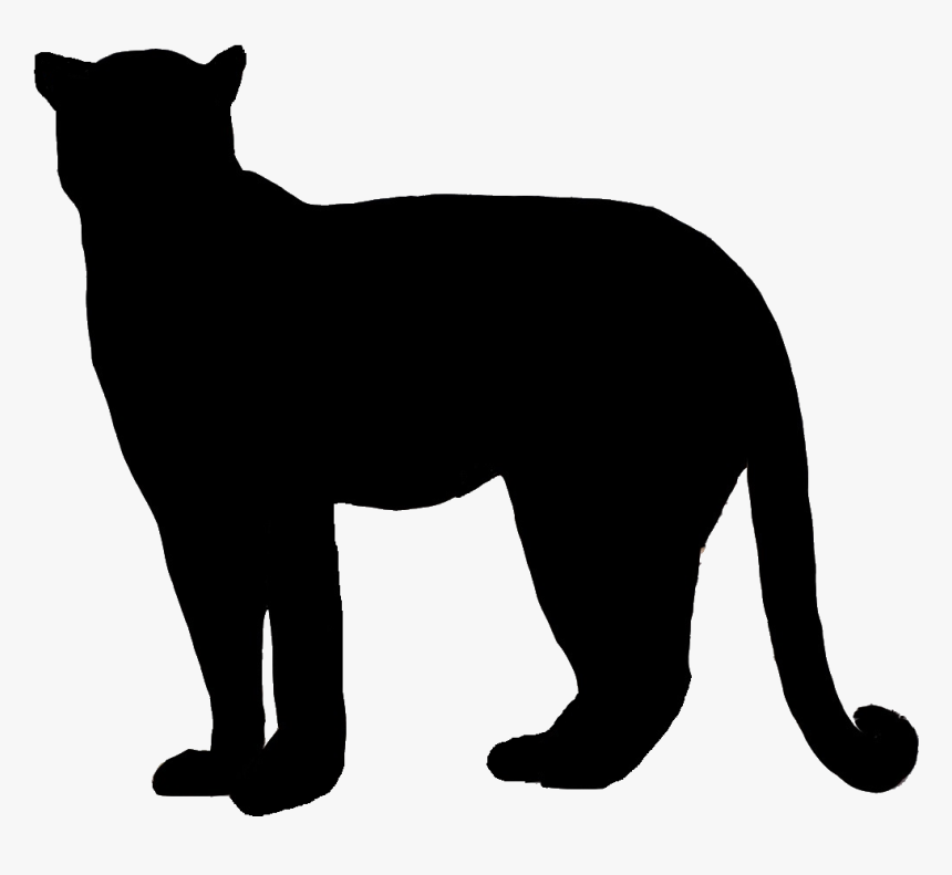 Vector Freeuse Bobcat Clipart Silhouette - Cougar Silhouette Transparent Background, HD Png Download