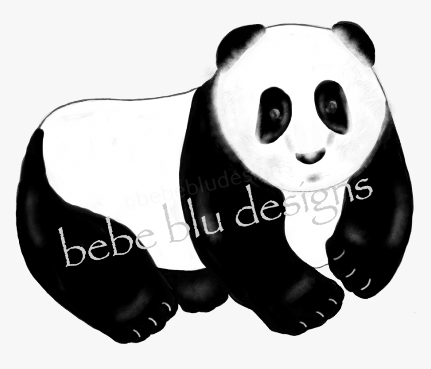 Panda Bear Clipart Png Download Cartoon- - Cartoon, Transparent Png
