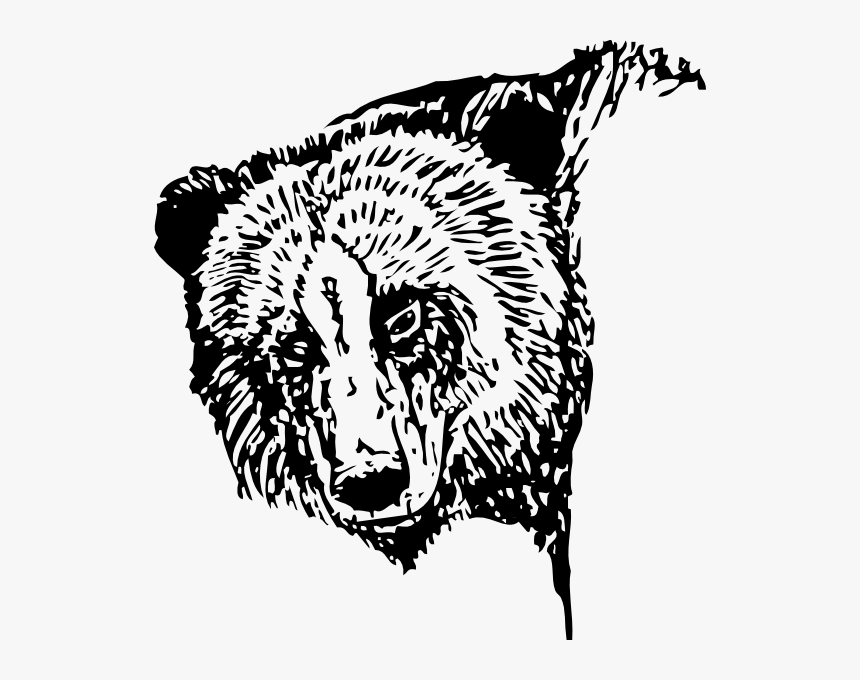 Bear Head Drawing Svg Clip Arts - Bear Line Drawing Transparent, HD Png Download
