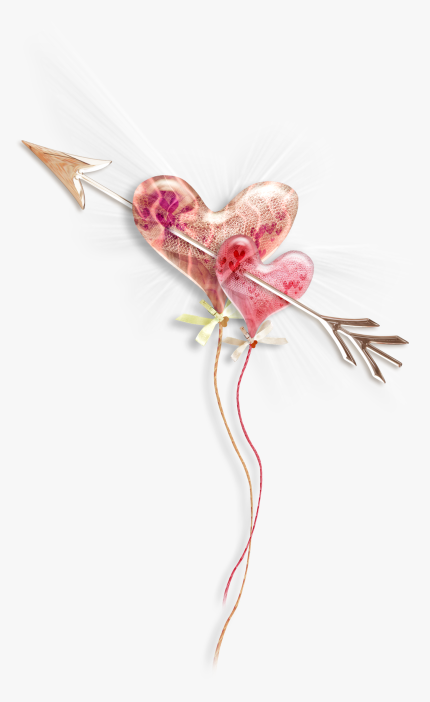 Pink Heart Photography Drawing Free Photo Png - Heart, Transparent Png
