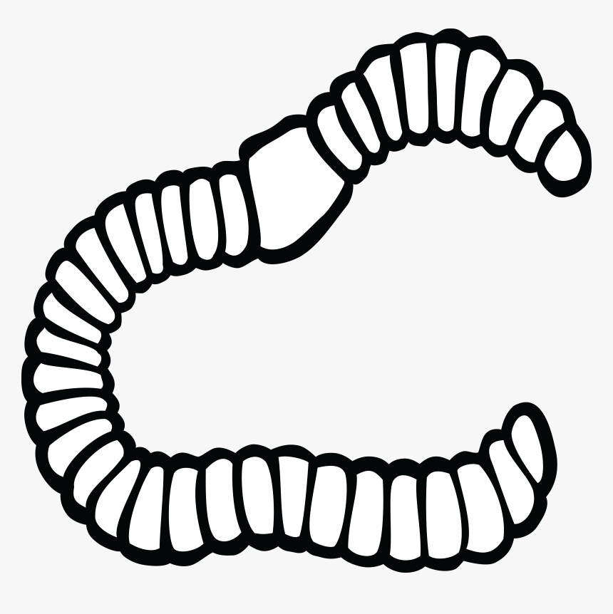 Earthworm Clip Art - Worm Black And White Clipart, HD Png Download