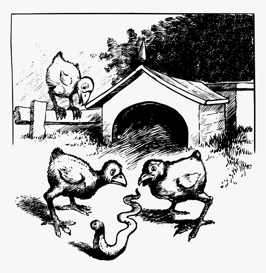 Chicks And A Worm - Cartoon, HD Png Download