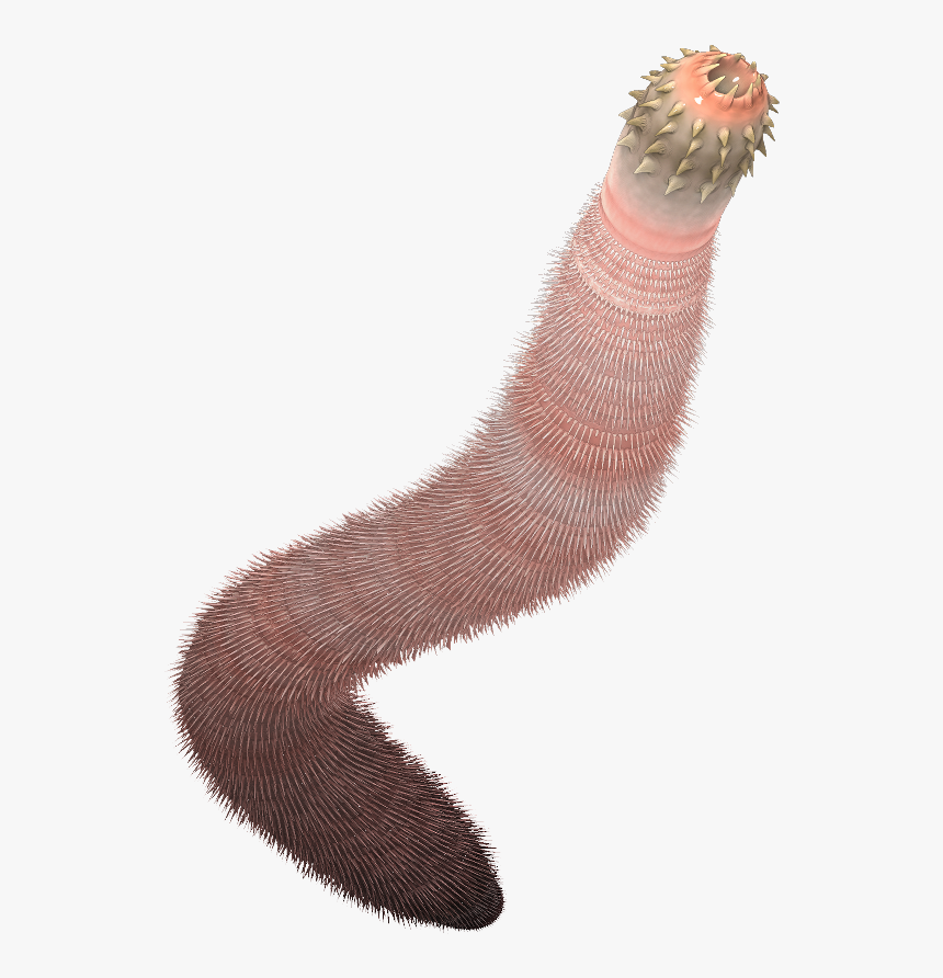 Ancalagon Minor Reconstruction - Ancalagon Animal, HD Png Download