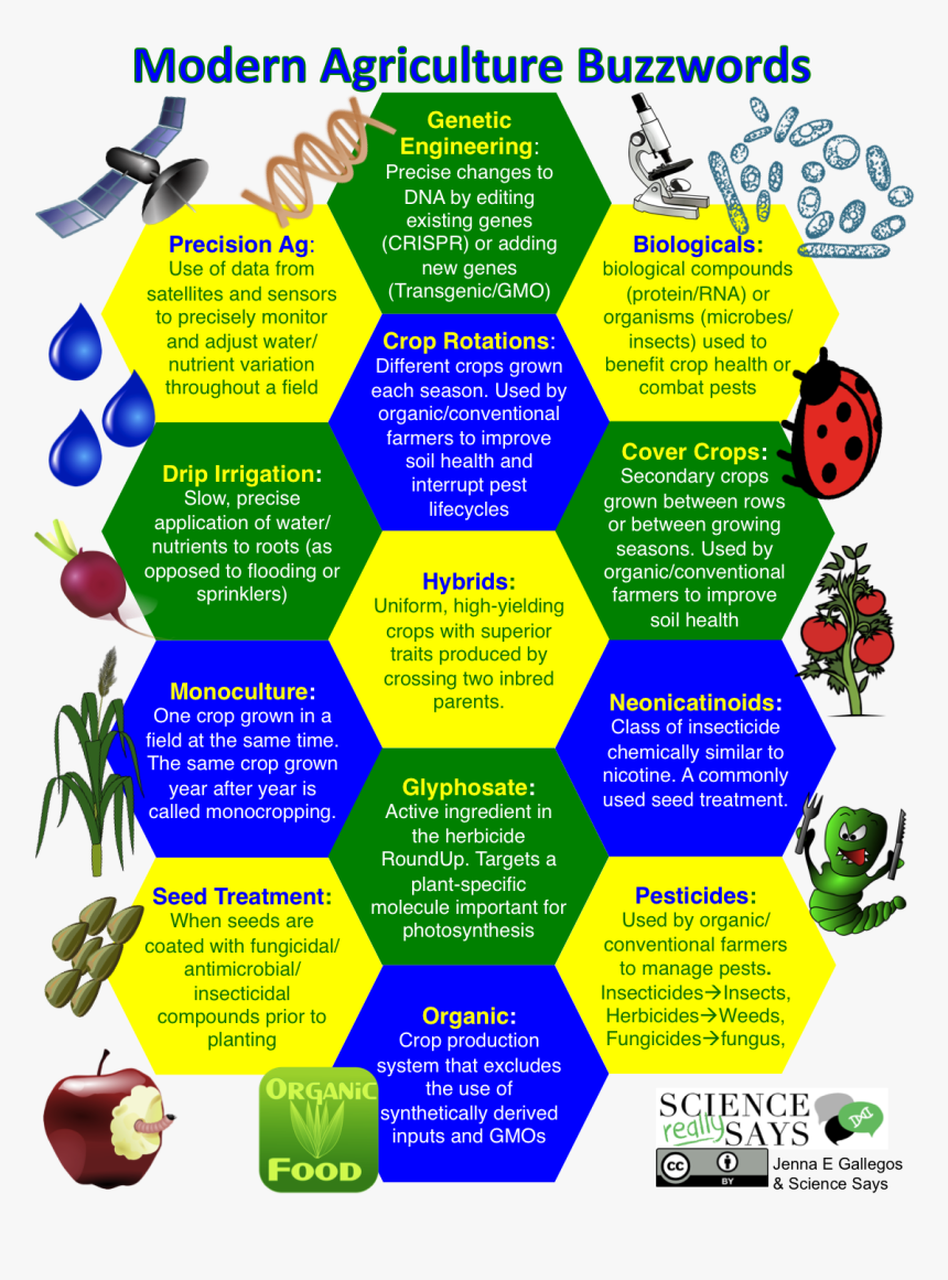 Apple With Worm , Png Download - Agriculture Buzzwords, Transparent Png