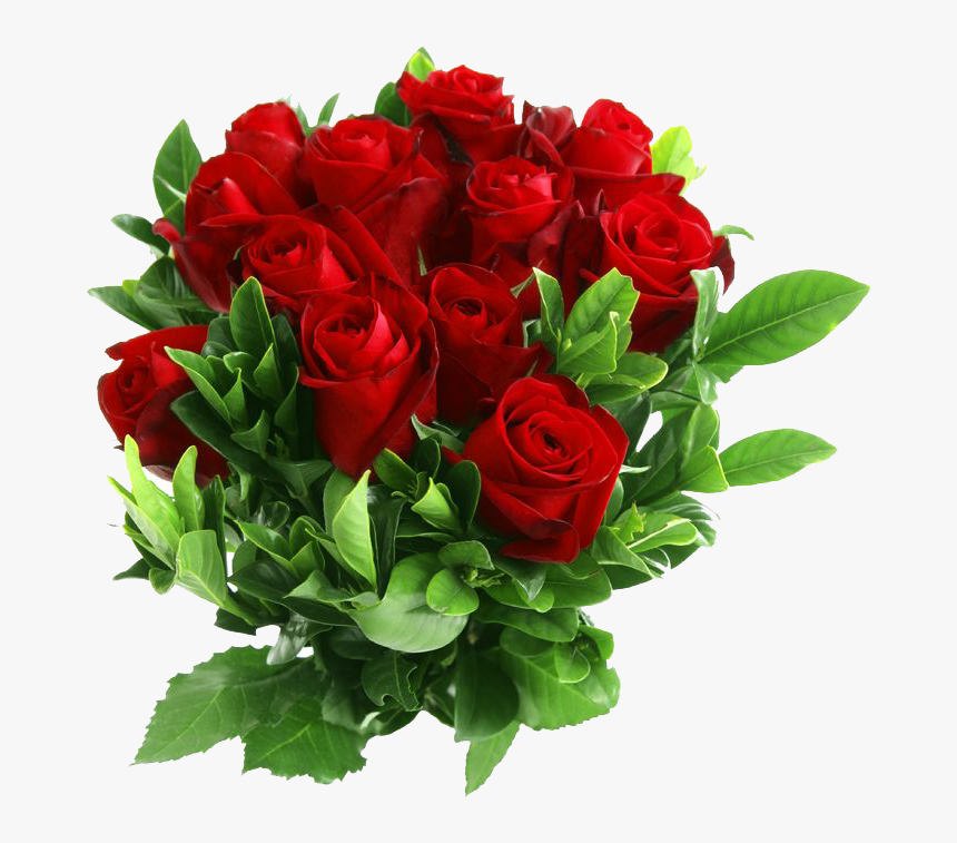 Download Red Rose Png Clipart - Red Rose Flower Png, Transparent Png