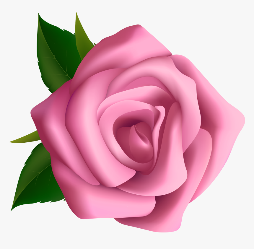 Transparent Rose Png Hd - Rose Clipart, Png Download
