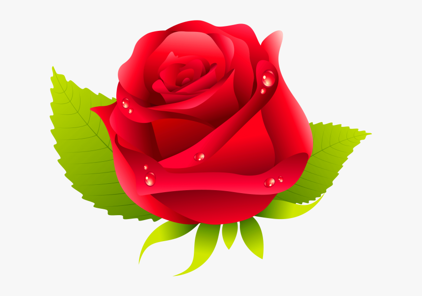 Rose Clipart Png Image Free Download Searchpng - Buon Compleanno Mamma, Transparent Png