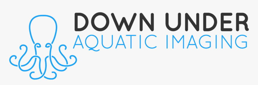Down Under Aquatic Imaging - Calligraphy, HD Png Download