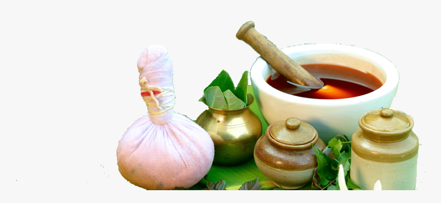 Traditional Knowledge System Medicine, HD Png Download