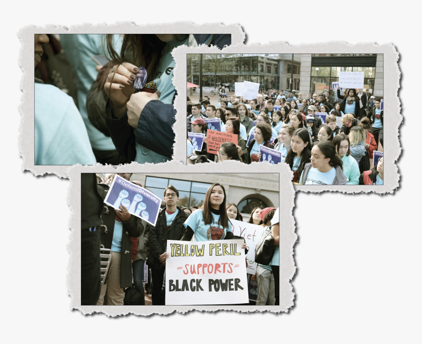 Admissions Collage, HD Png Download