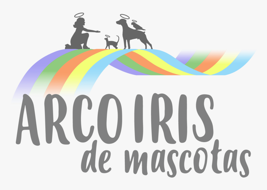 Graphic Design, HD Png Download