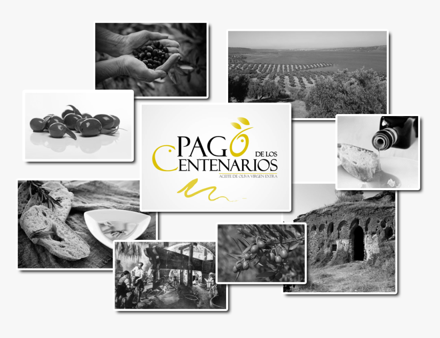 Aceite De Oliva Calidad Pago De Los Centenarios - Collage, HD Png Download