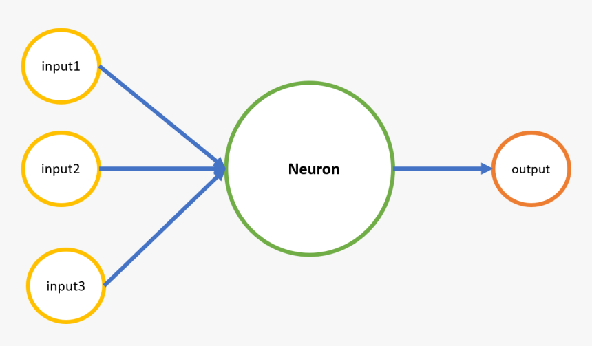 Circle, HD Png Download