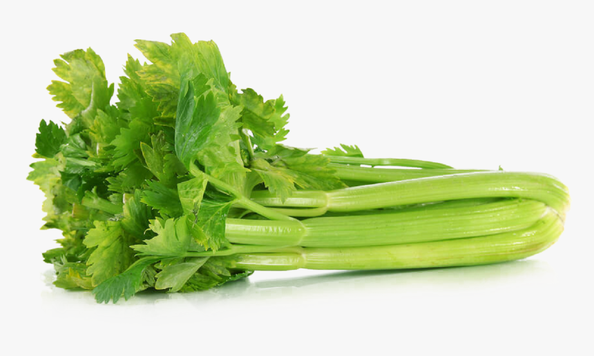 Download Celery Png File - Celery Meaning In Hindi, Transparent Png