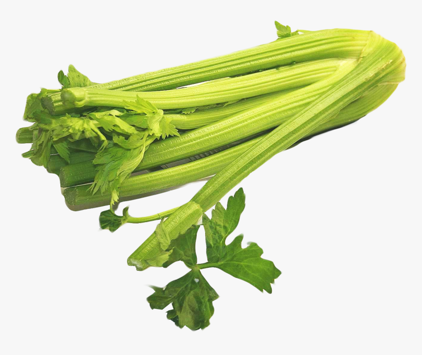 Celery Png Image - Celery Png, Transparent Png