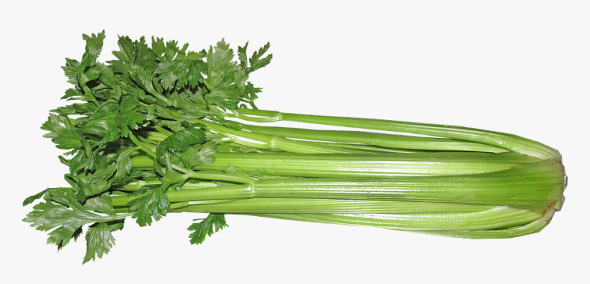 Celery, Vegetable, Food, Vegetarian, Cooking - Rau Celery, HD Png Download