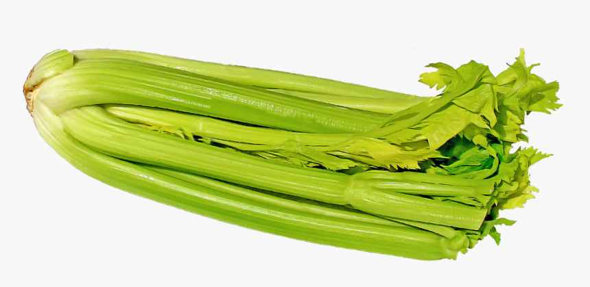 Selderij Transparant, HD Png Download