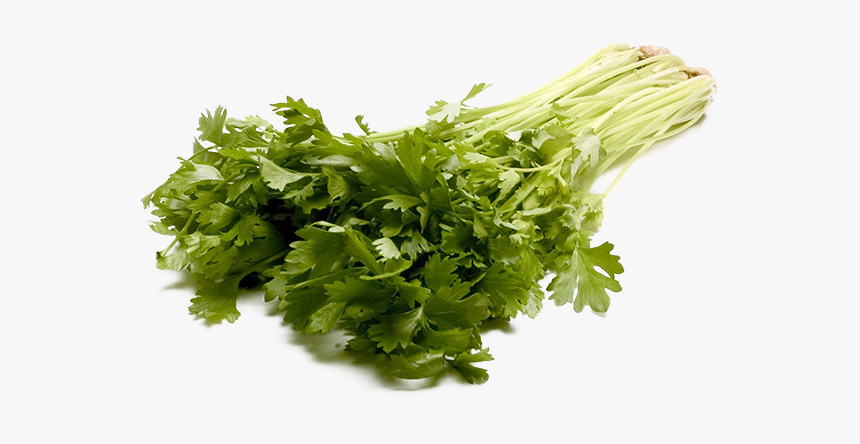Celery Png Transparent Image - Parsley, Png Download