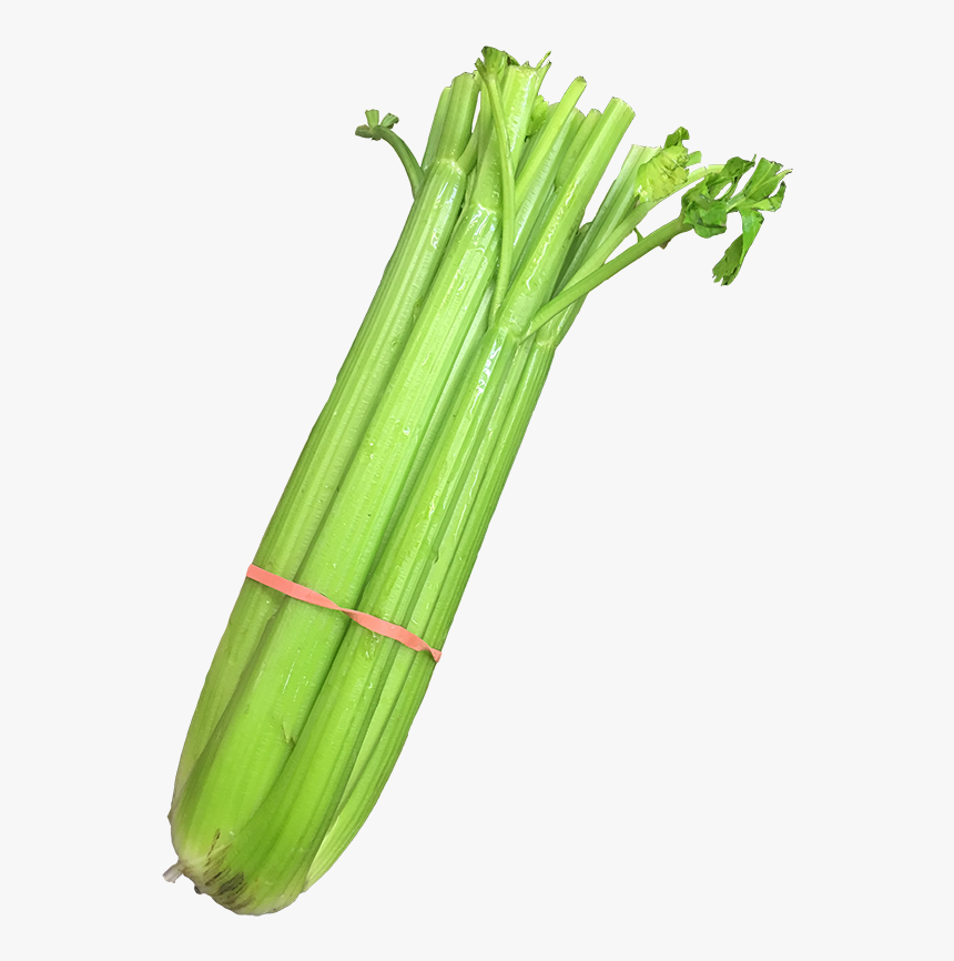 Celery - Leek - Leek, HD Png Download