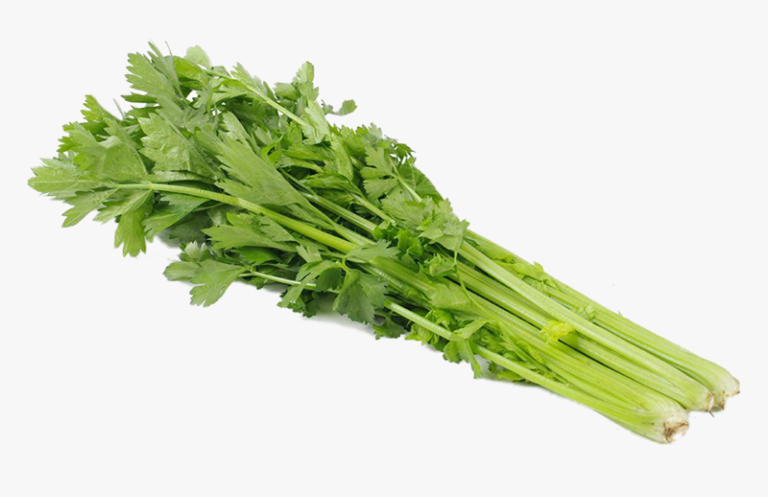 Celery Bunches - Celery, HD Png Download