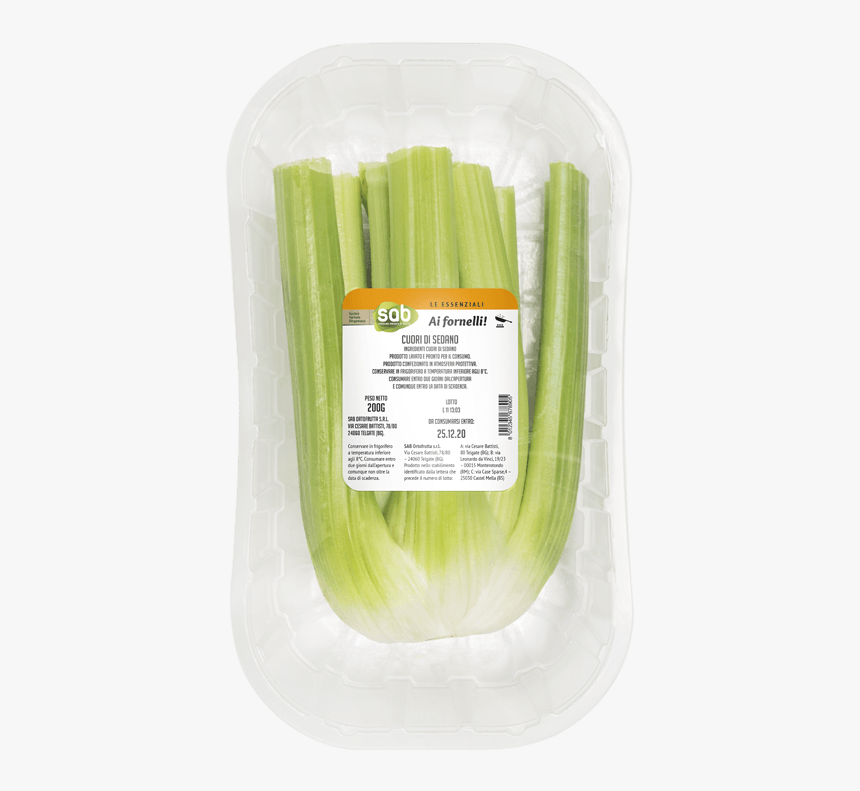 Leek, HD Png Download