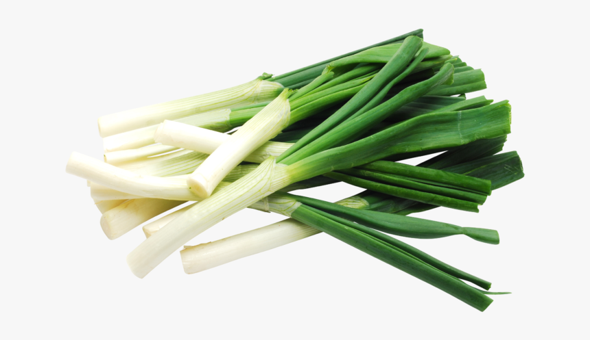 Celery - Leek Transparent, HD Png Download