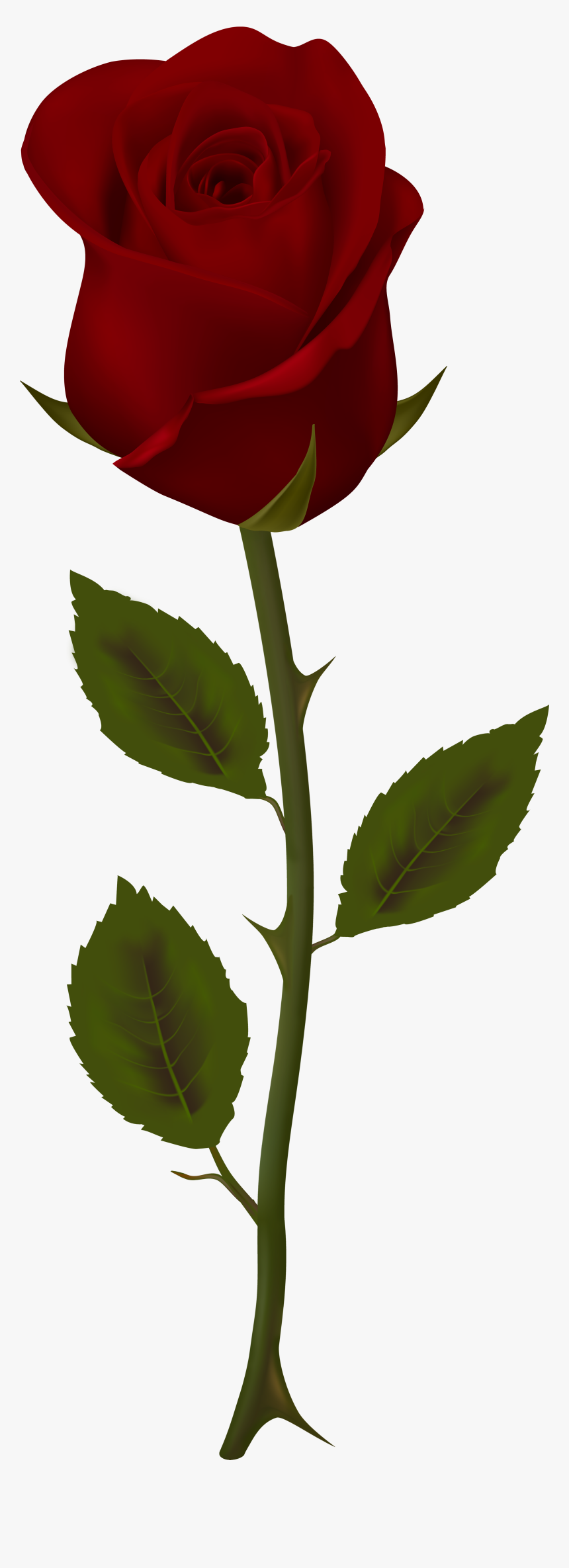 Dark Flower Png - Dark Red Rose Clipart, Transparent Png